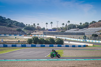 25-to-27th-november-2017;Jerez;event-digital-images;motorbikes;no-limits;peter-wileman-photography;trackday;trackday-digital-images